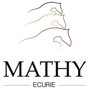 Ecurie Mathy - Professional horse stables