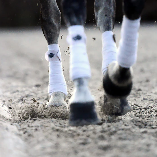 Bruno Beyne - Close-up paardenhoeven op piste