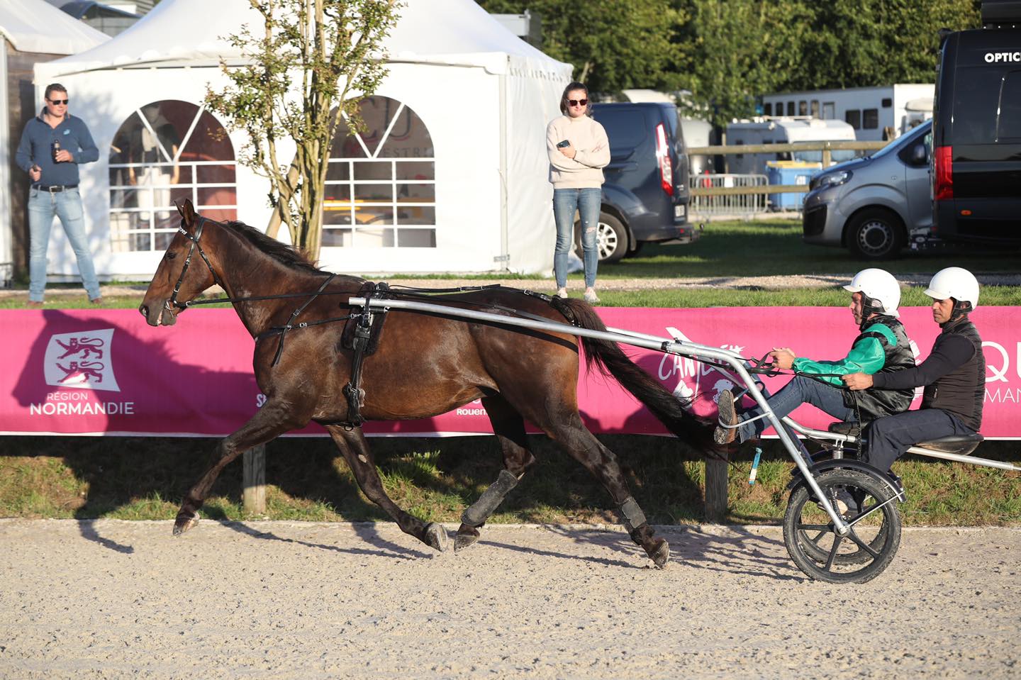 Equi-Normandie - Aangespannen rijden